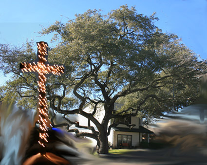 Tree from Austin- photo art by Dr. Jacob Mathew