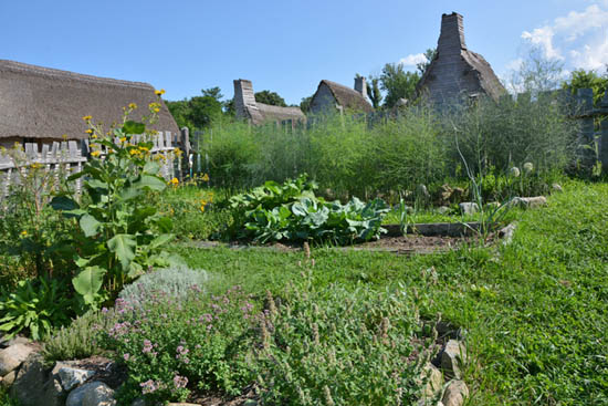 Backyard Garden in Plymouth Plantation