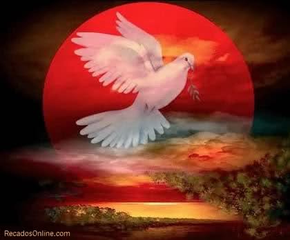 Dove - Symbolic Representation of Holy Spirit