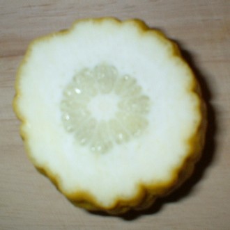 etrog fruit cross section