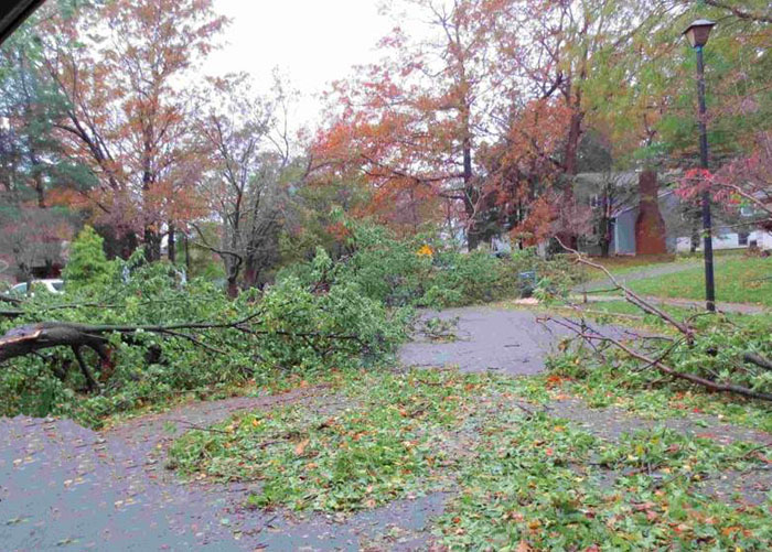 Hurricane Damage in Staten Island, NY