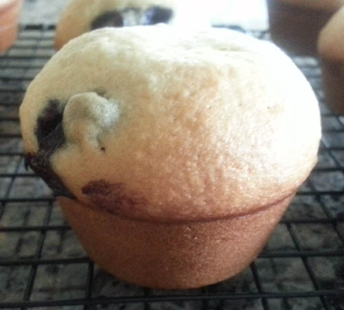 Perfect Muffins - Close Up