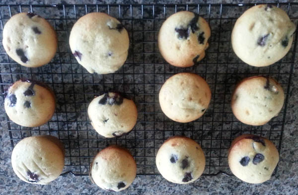 Perfect Muffins - Seena