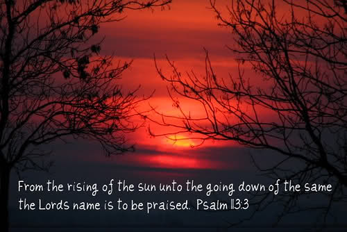 Cover Picture Psalm 113-3