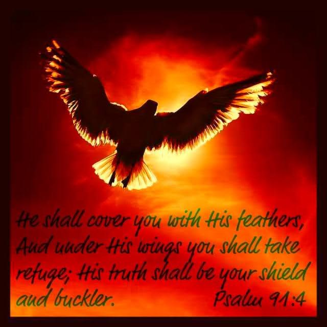 Psalm 91:4