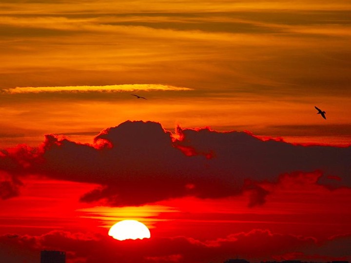 Sunset in a bird santuary