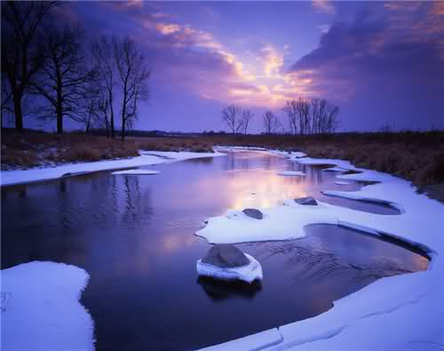 Winter Landscape